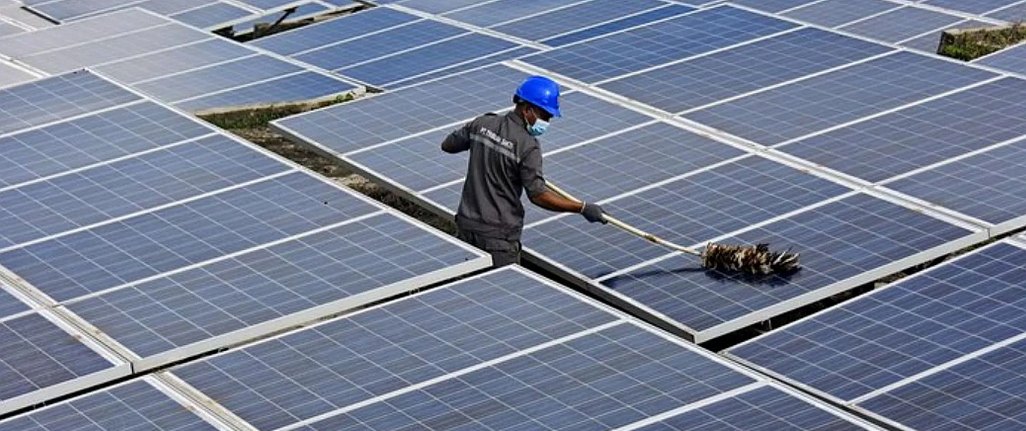 A person 