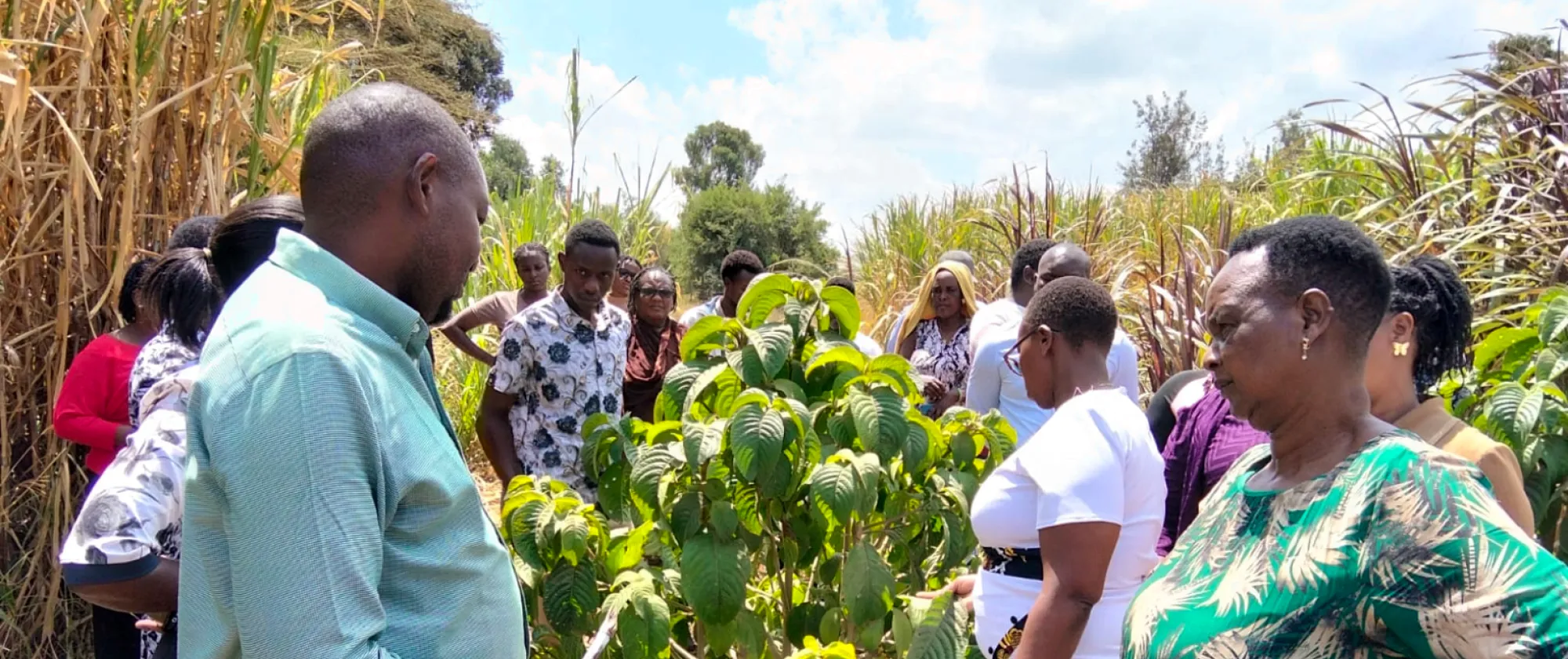 Titus Kariuki of Tiddy Fodder Farm trains participants on fodder production and storage in Narok County. © Tidy Farm