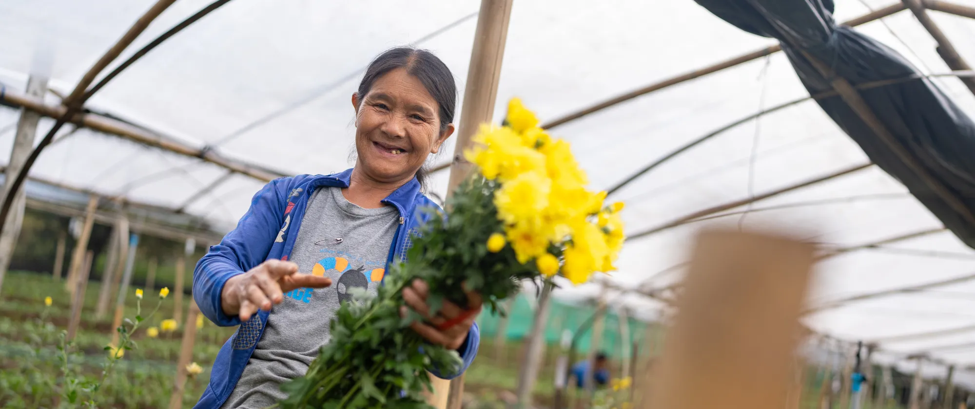 A migrant worker tends budding flowers on a terraced hillside in Pong Yaeng, Chiang Mai. 7/2026