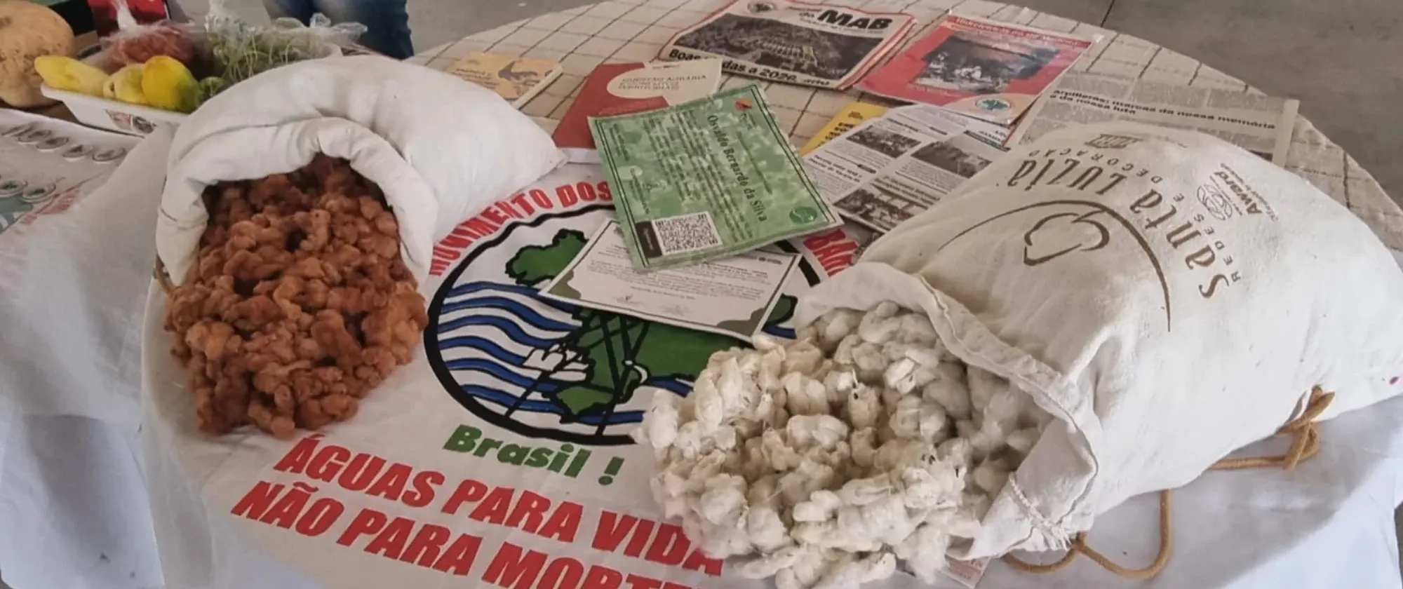 Iniciativa reuniu representantes do Brasil, do Peru e da OIT para intercâmbio de conhecimentos sobre a promoção do trabalho decente na cadeia do algodão e no meio rural