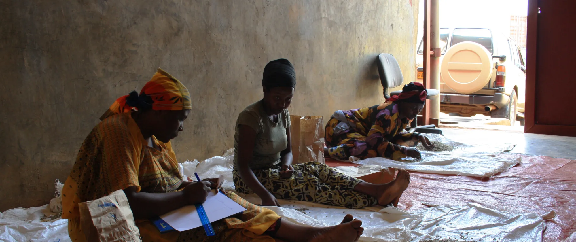 Tres mujeres clasifican y registran granos de café en una planta de procesamiento de café.