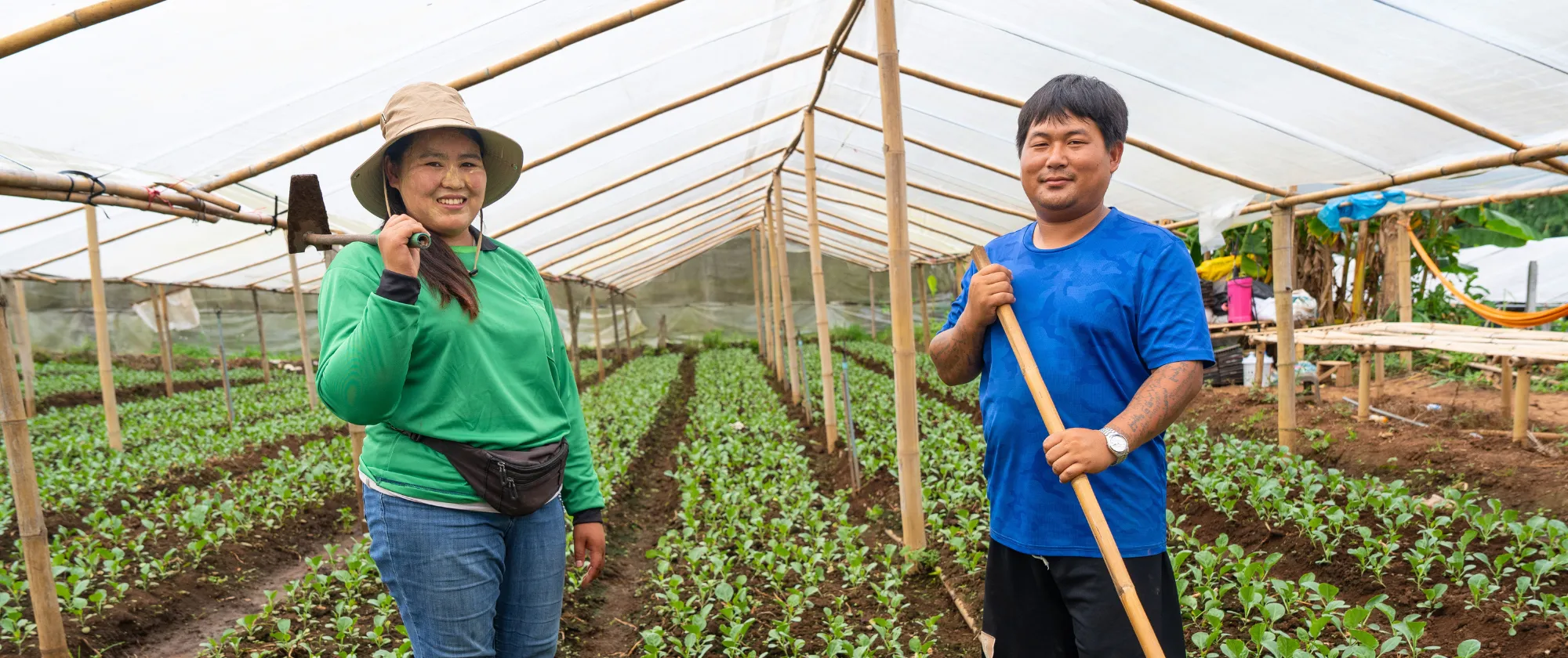 Amid rows of vibrant green kale, Nuenlao and her partner work side by side on a farm in the mountain community of Pong Yaeng, Chiang Mai.