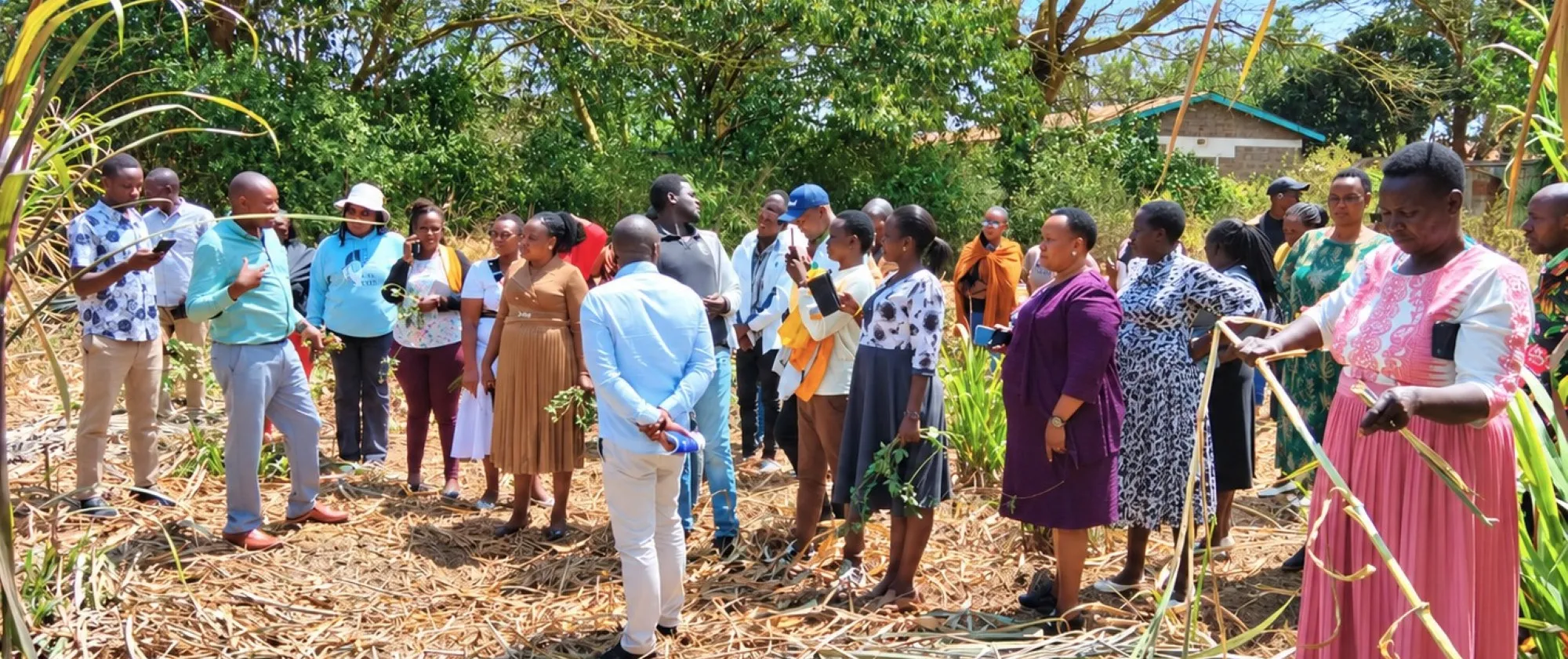 Elizabeth in the far right holding cut napier grass during the training by Tiddy Farms held in July 2026, in Narok county.