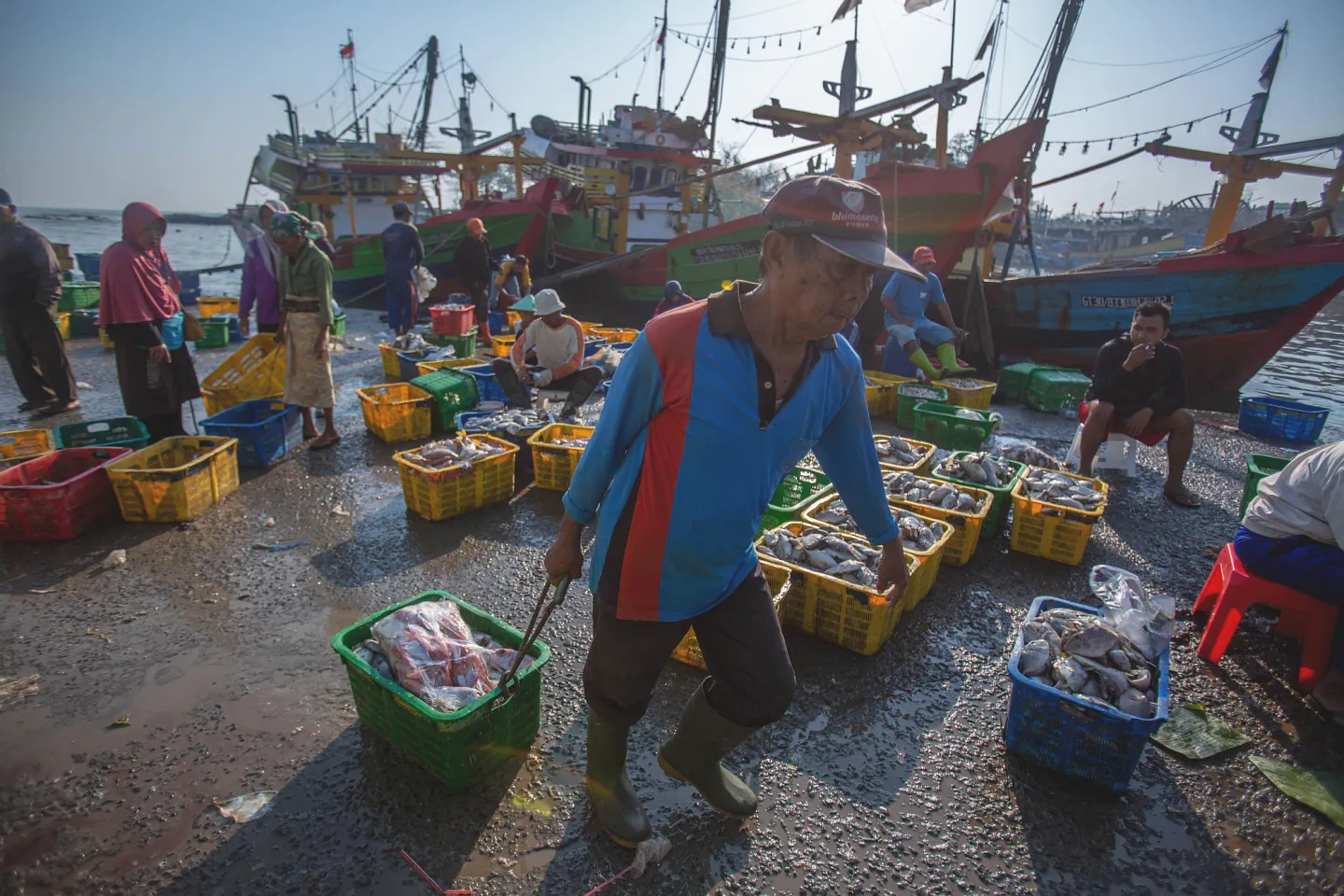 Working in Batang fishing port, Indonesia