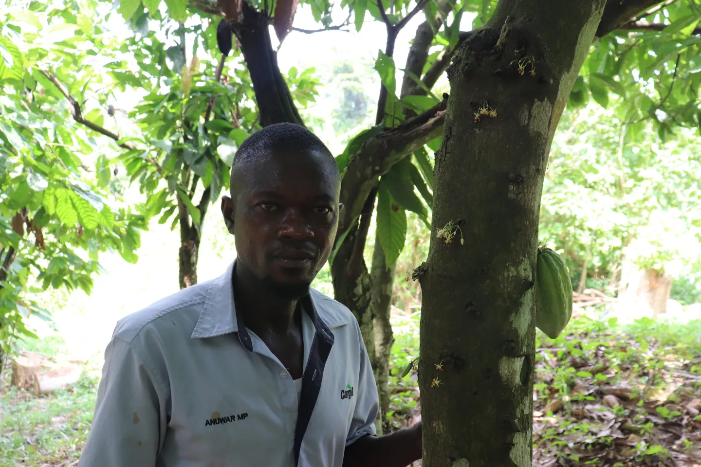 Farmer poses next to a cocoa tree