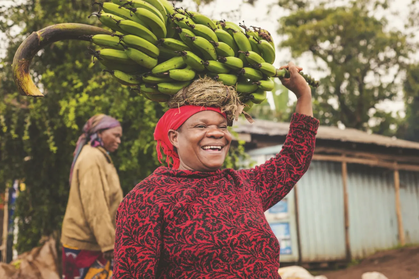 woman carrying bananas on head