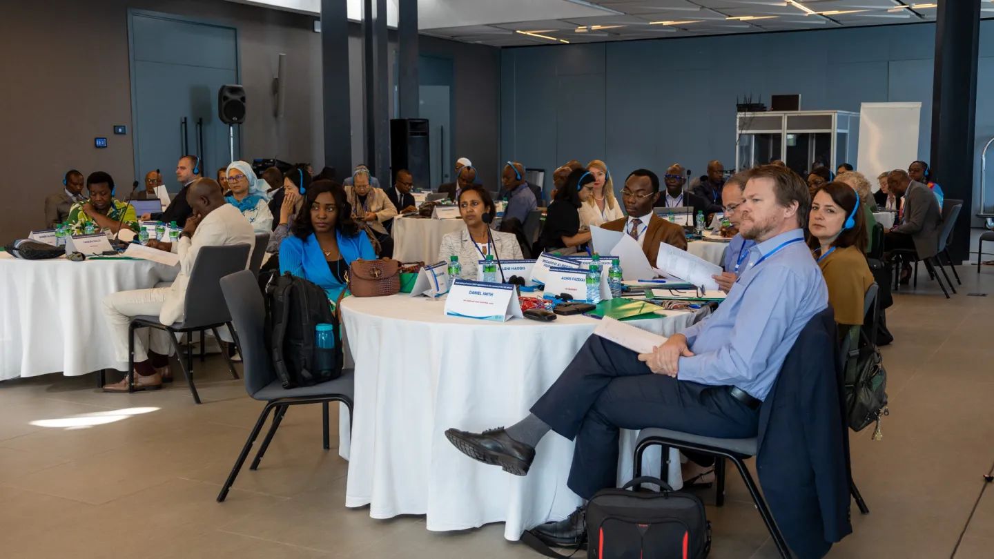 Participants at the Inter-regional Workshop on Country Programming in Dakar