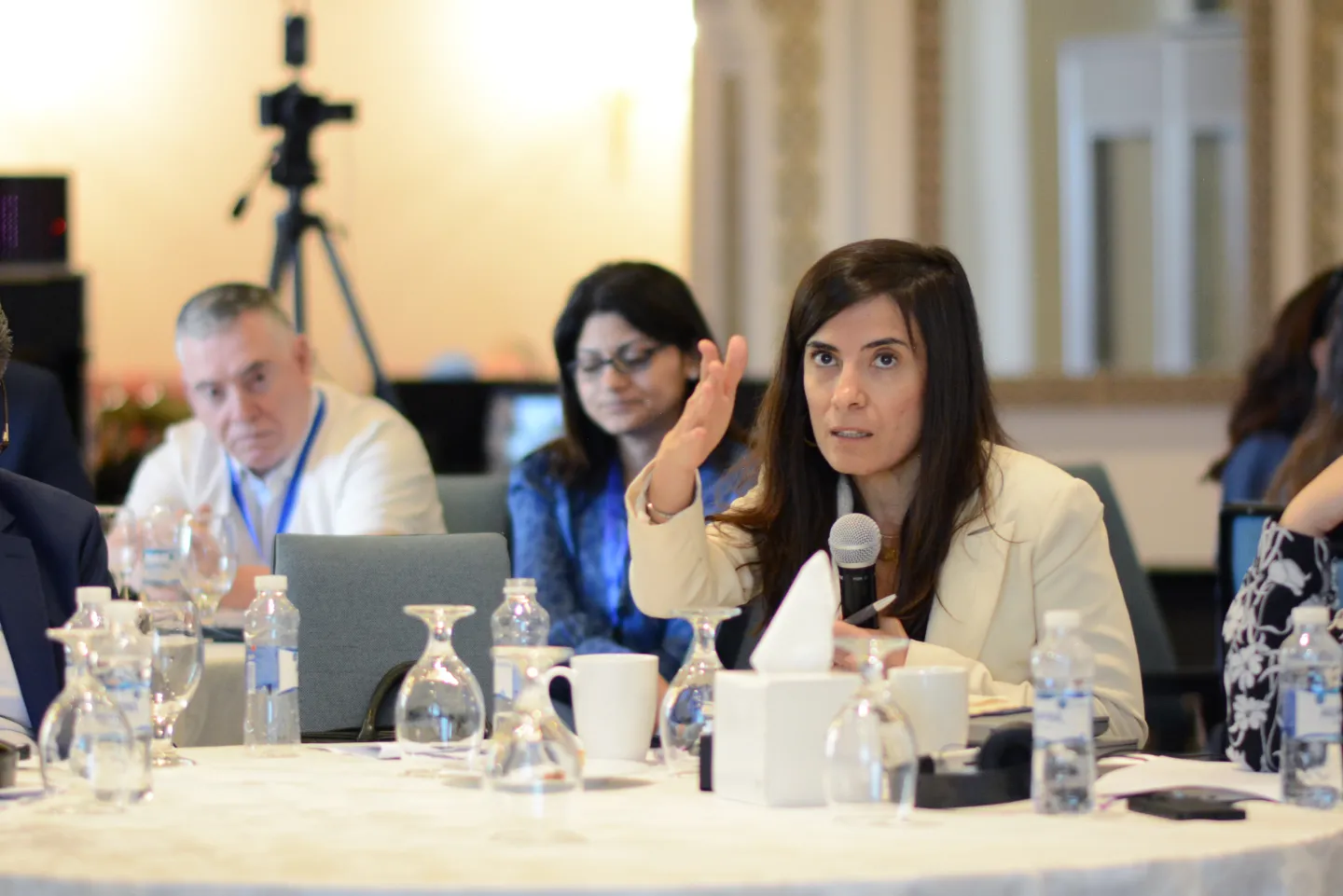 speaker at the conference