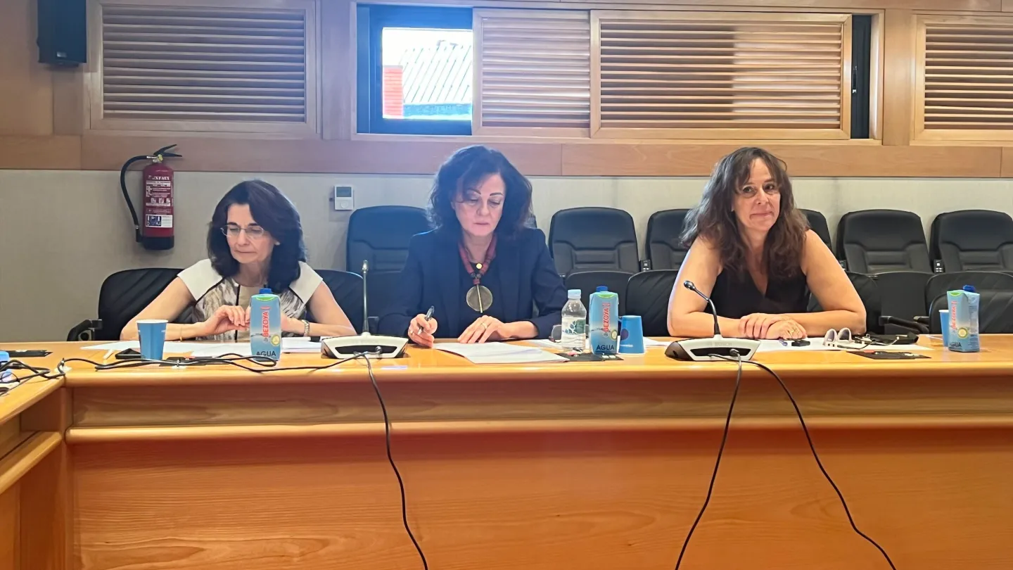 Con motivo de la visita de estudio a España de una delegación de China sobre la protección social de las personas trabajadoras de plataformas digitales, la Oficina de la OIT para España conjuntamente con la Oficina de la OIT en Pekín, han organizado una reunión de trabajo con representantes de los interlocutores sociales españoles.