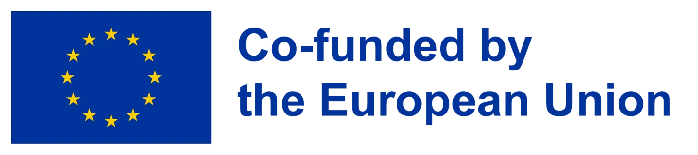 Co-funded by the EU