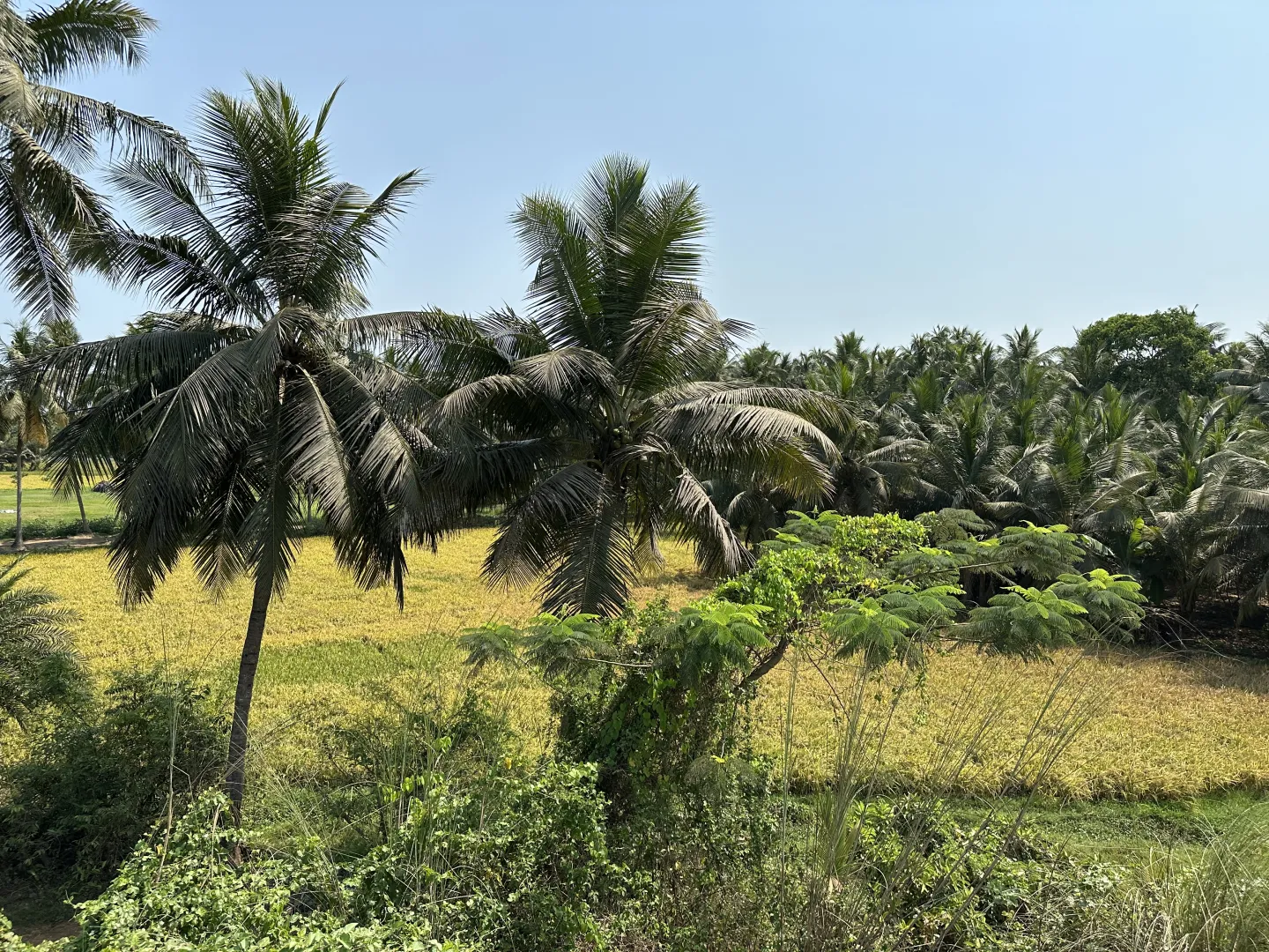Landscape of Andhra Pradesh