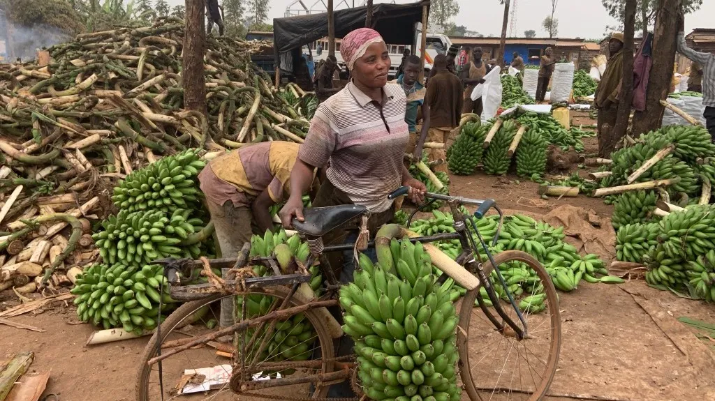 woman carrying banana