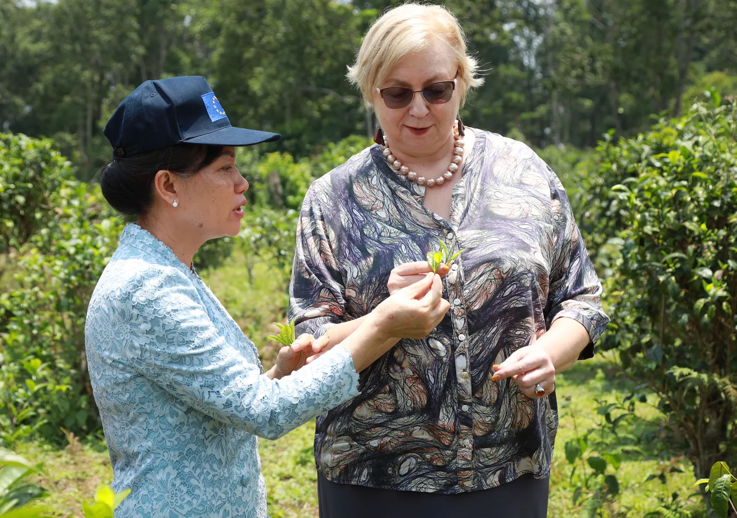 Baykham Khattiya, Minister of Labour and Social Welfare and Ina Marčiulionytė, EU Ambassador visit the Paksong Tea Cooperative farm in Lao People's Democratic Republic