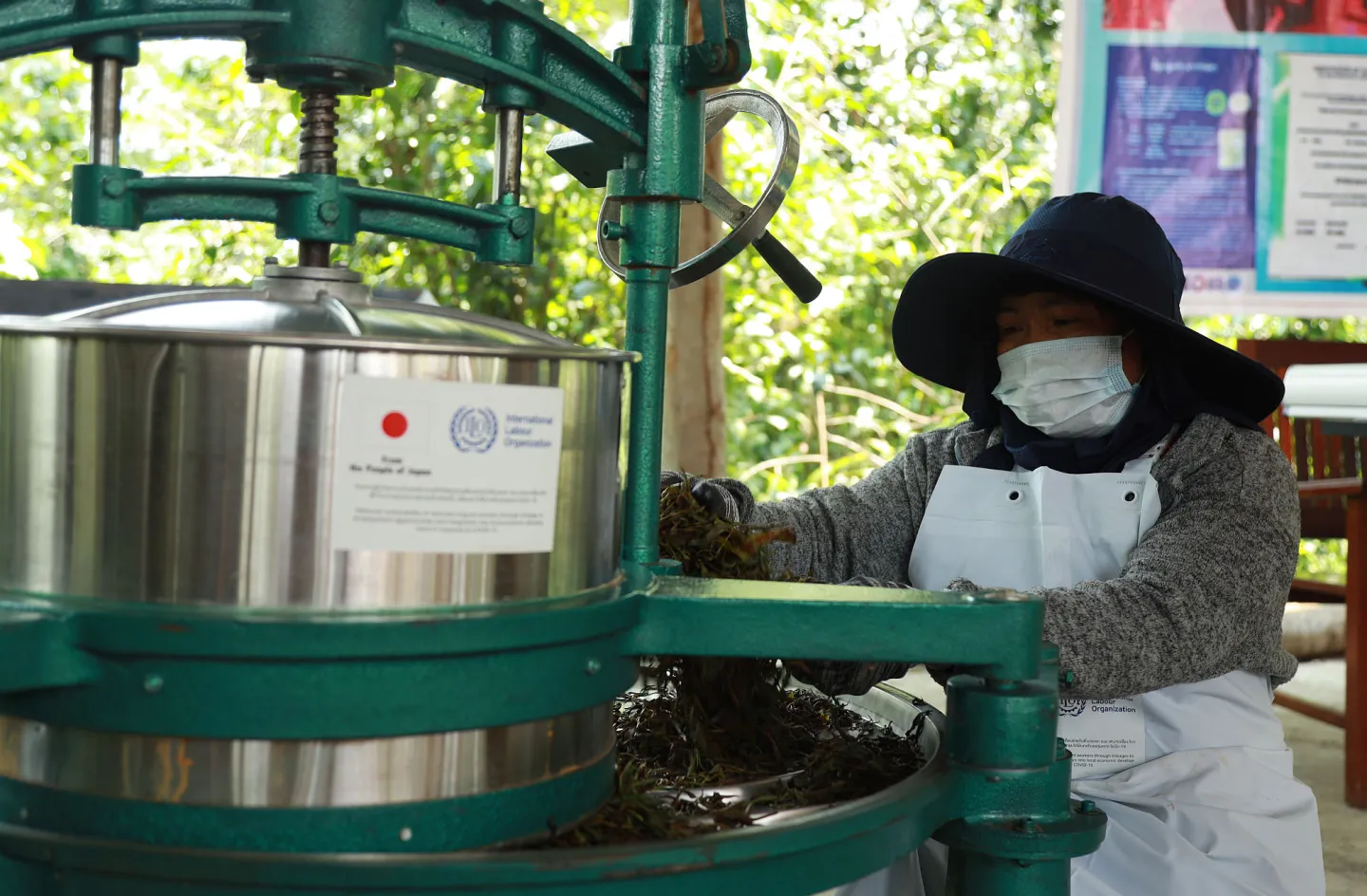 A worker uses new equipment to process tea leaves, Lao People's Democratic Republic