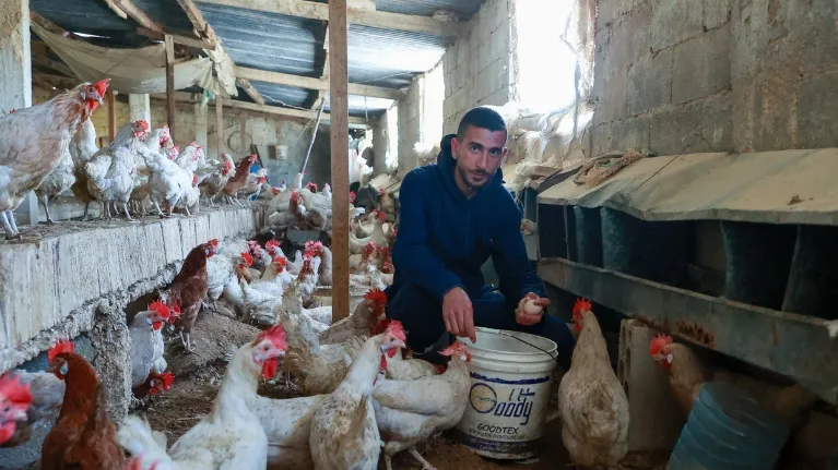 Joseph Jabbour, a Lebanese poultry farm owner plans to grow his business after receiving skills training