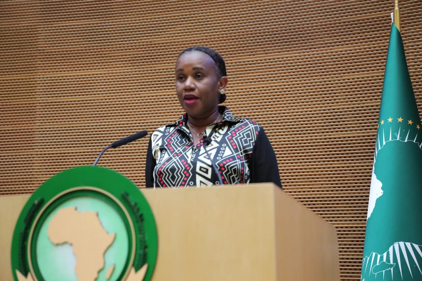 Fanfan Rwanyindo Kayirangwa, Regional Director for Africa delivered a closing remark at the African Union Technical Committee meeting in Addis Ababa
