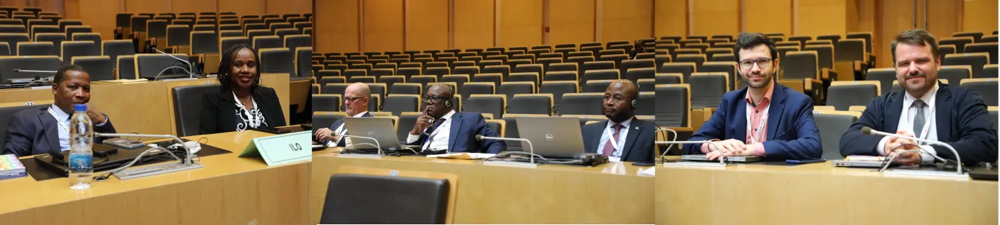 ILO  officials, experts & partners taking part alongside delegations of experts from AU member states