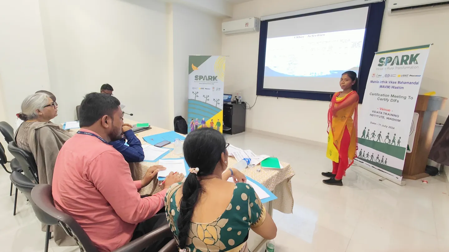 Person standing in front of a screen and making a presentation to a conference room