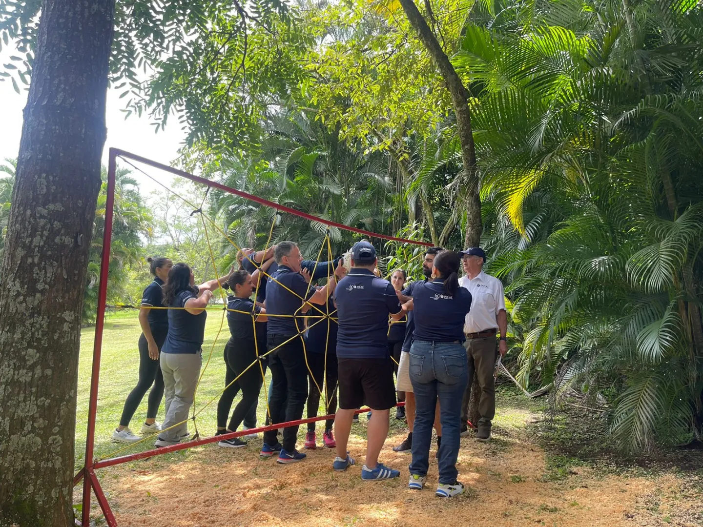 Foto El taller de cuerdas es una de las sesiones que destaca en el programa y fomenta la construcción del Networking al desarrollar una serie de actividades al aire libre en las que los participantes deben enfrentar retos y dinámicas de trabajo en equipo.
