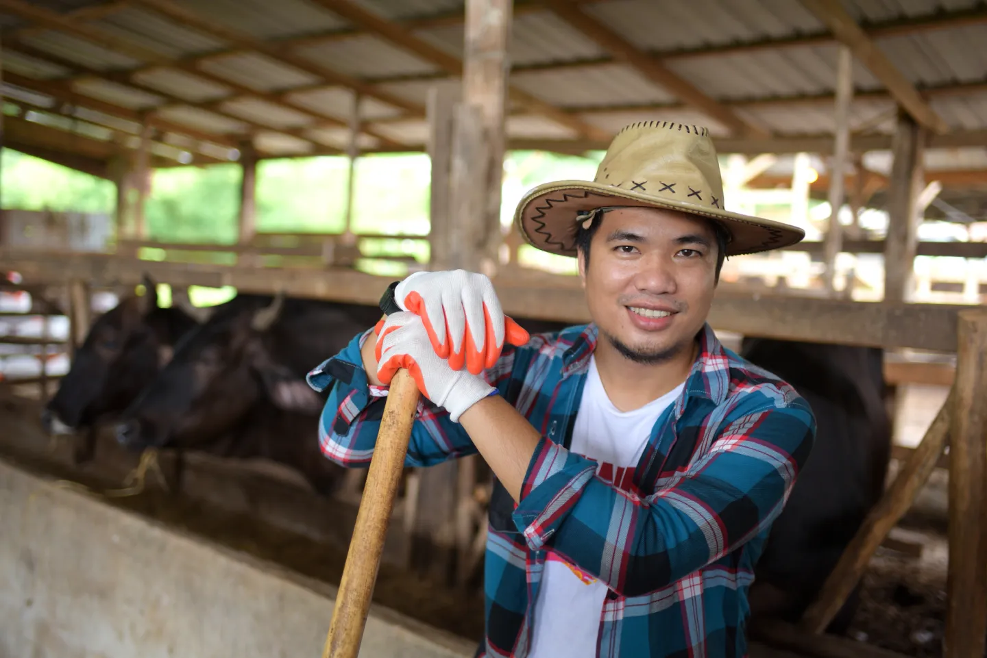 Farming is one of common occupations for migrant workers in Japan