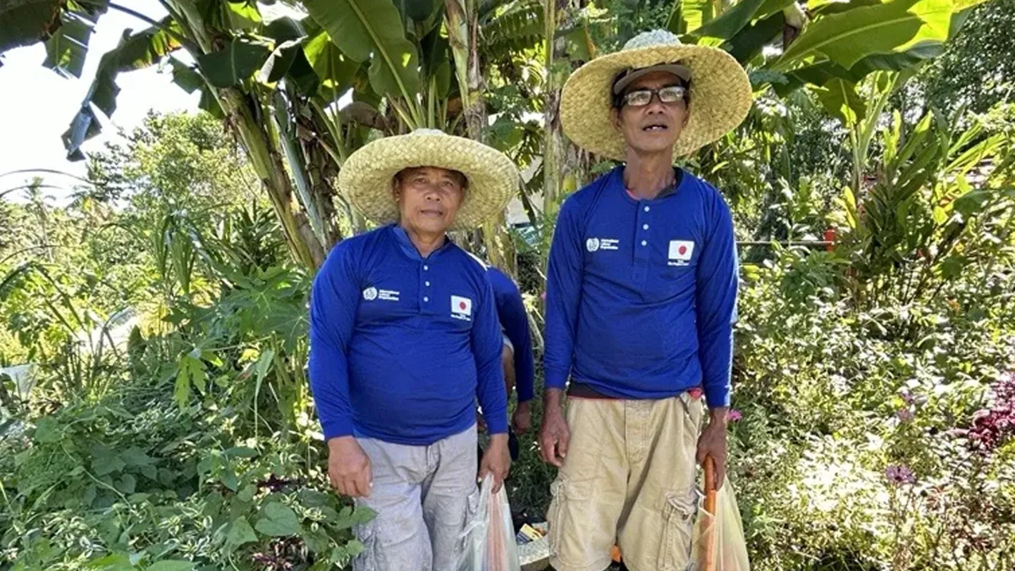 coconut farmers of the cash for work programme in Siargao