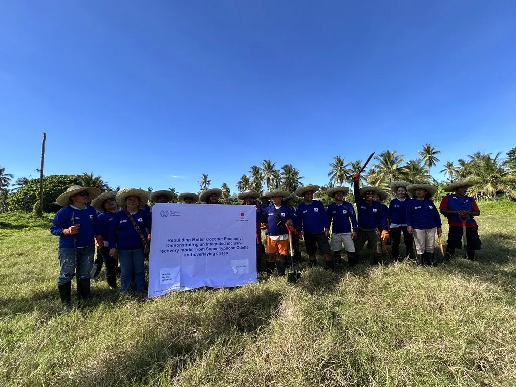Coconut farmers for the cash-for-work activity