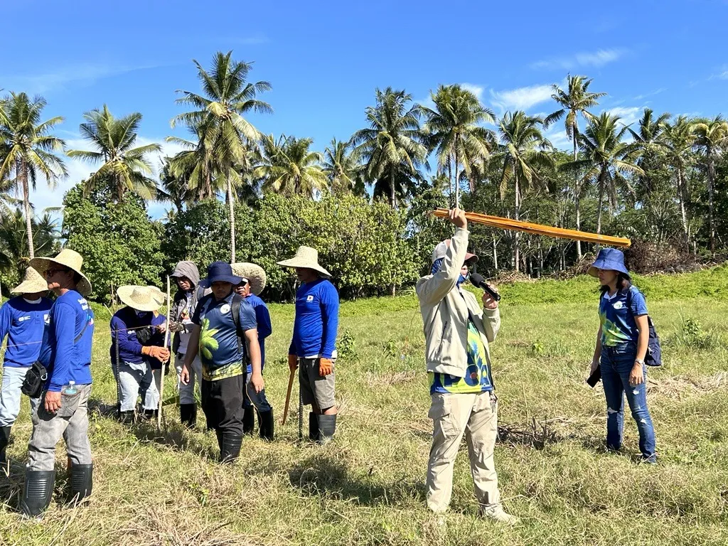 coconut farmers at work for the clearing of farms