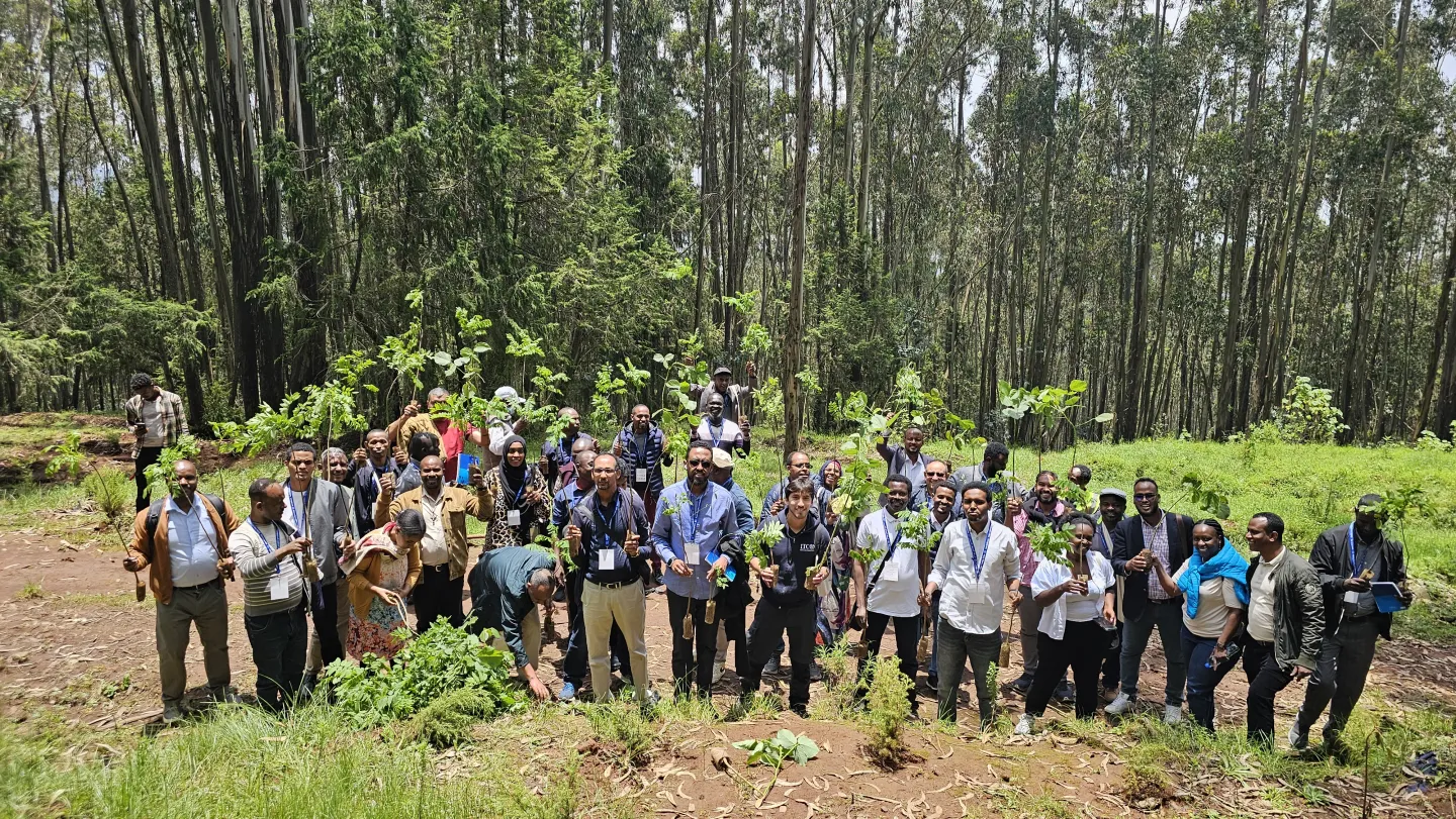 training participants