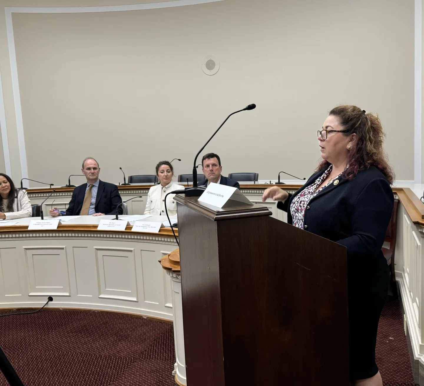 ILO Congressional Briefing on Confronting Forced Labour - Linda Sanchez