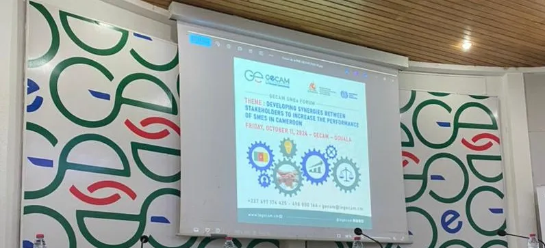 Gecam-PME-Cameroun