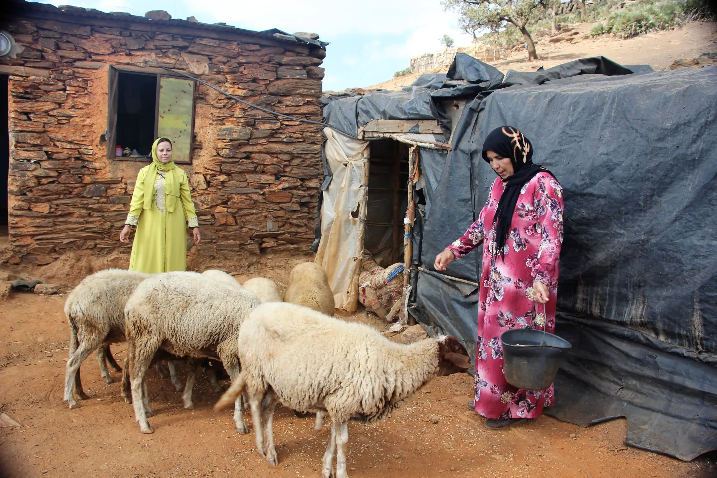 Projet WAFIRA, Fatima - Ksar El Kebir, Maro