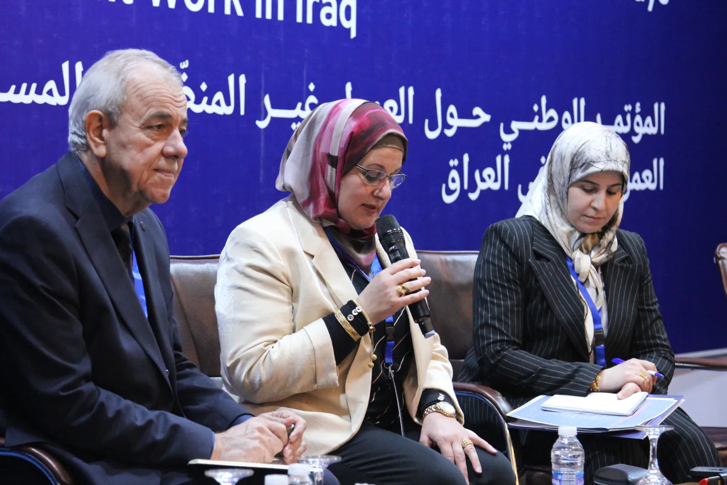 The panel of coordination mechanisms proposing national strategies and programmes, as well as available and required resources to facilitate the formalization session. 