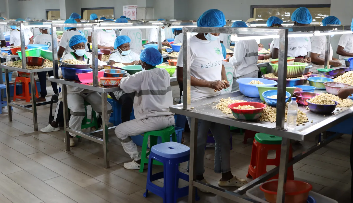 Une vue des travailleuses de l’usine Ecocajou, bénéficiaires des formations de l’OIT