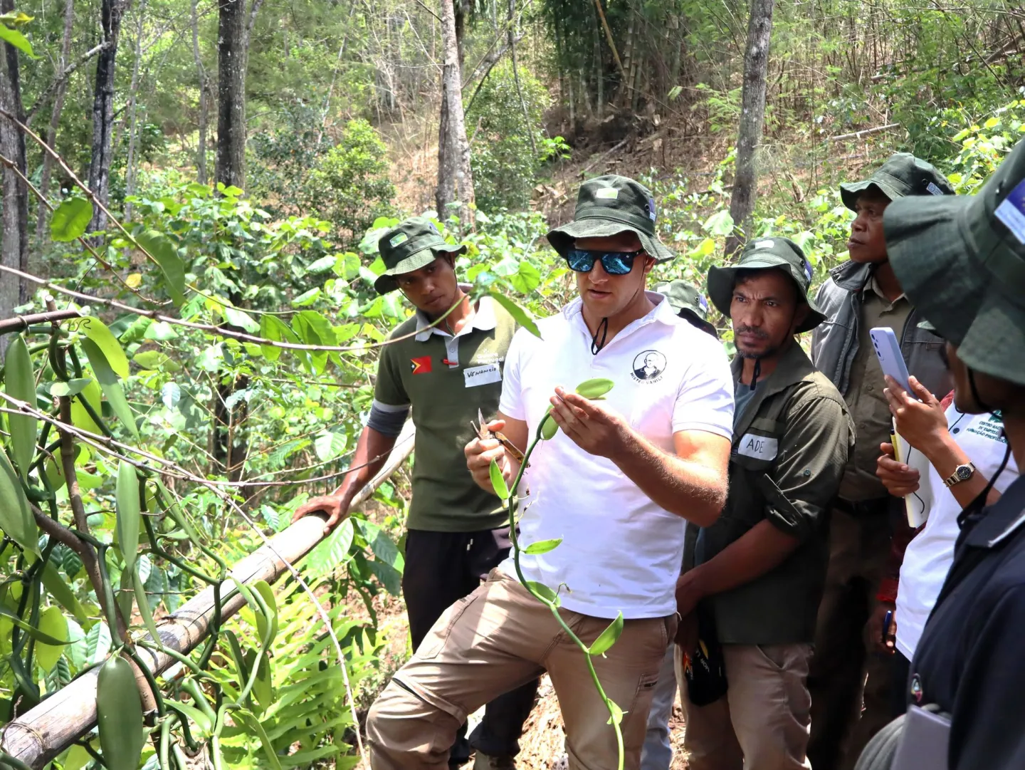 Famers participate in the vanilla cultivation training in Timor-Leste.
