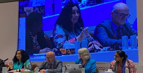 ICA Session - Cooperative provision of care 