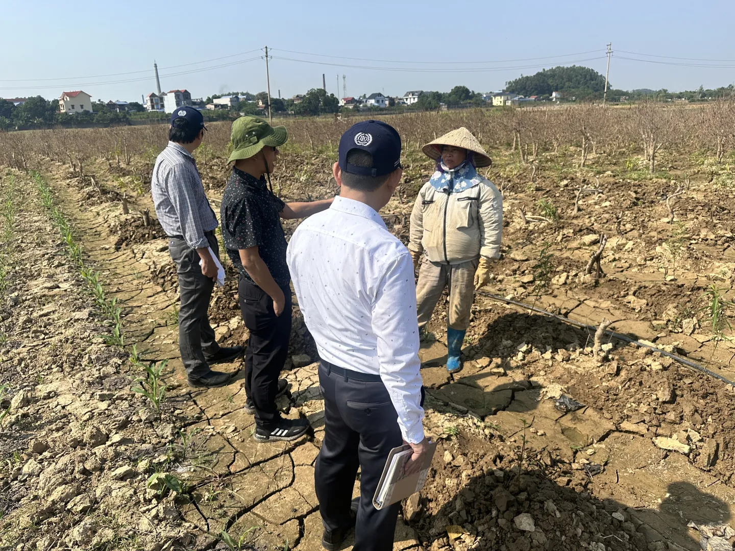 ILO Viet Nam officers hear Hải Hà, an apricot blossom farmer in Thai Nguyen, recount her family's ordeal after Typhoon Yagi.