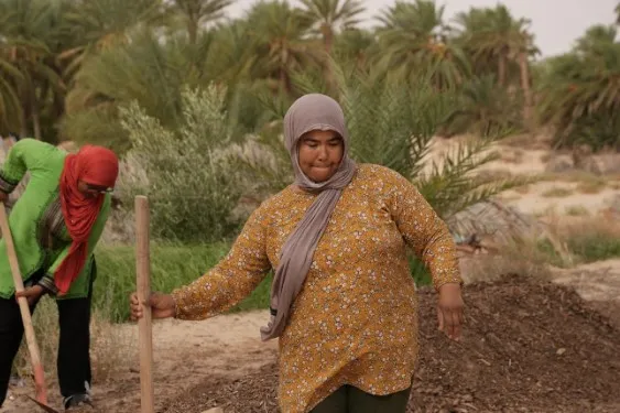 Two women members of the Agricultural Development Group (GDA) Femme et Palmier in South Douz, working in the garden