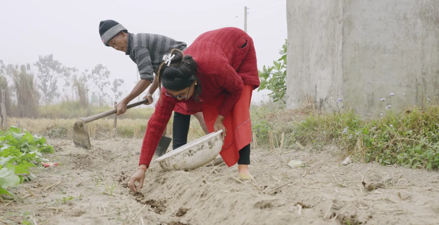 A refugee family was provided with farming land on a lease, good quality seeds and fertilizers and trainings to undertake potato farming as a viable livelihood option.