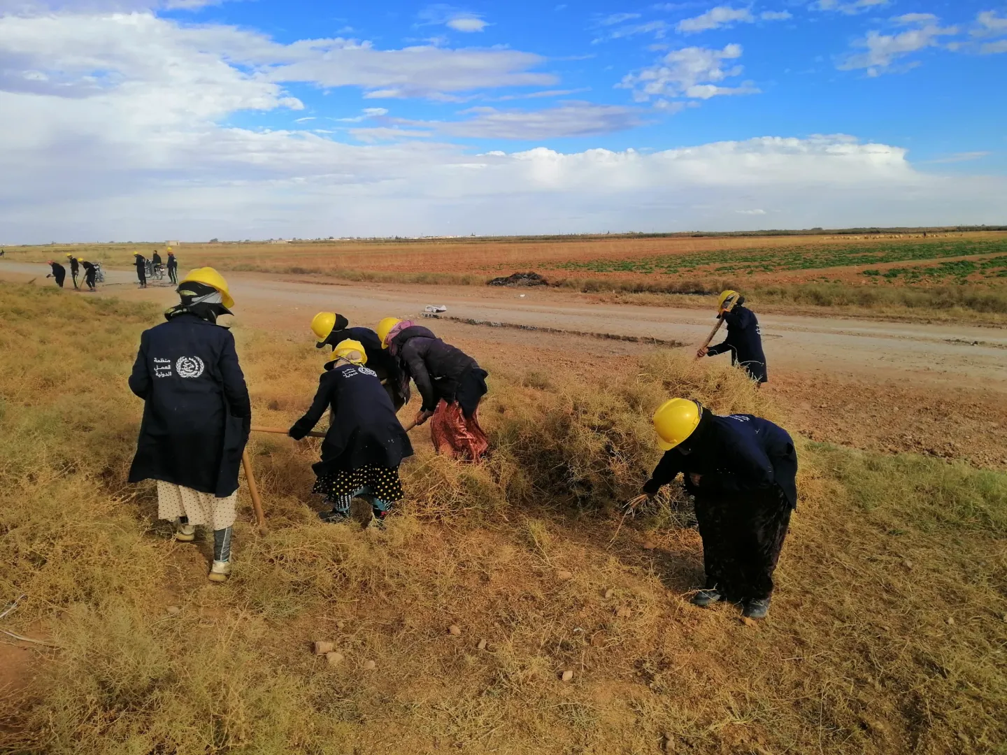 عاملات ينظفن الطريق ويزيلن الغطاء النباتي الذي يعتبر محلياً مساهماً في التصحر في المنطقة. 14 تشرين الثاني/ نوفمبر 2024