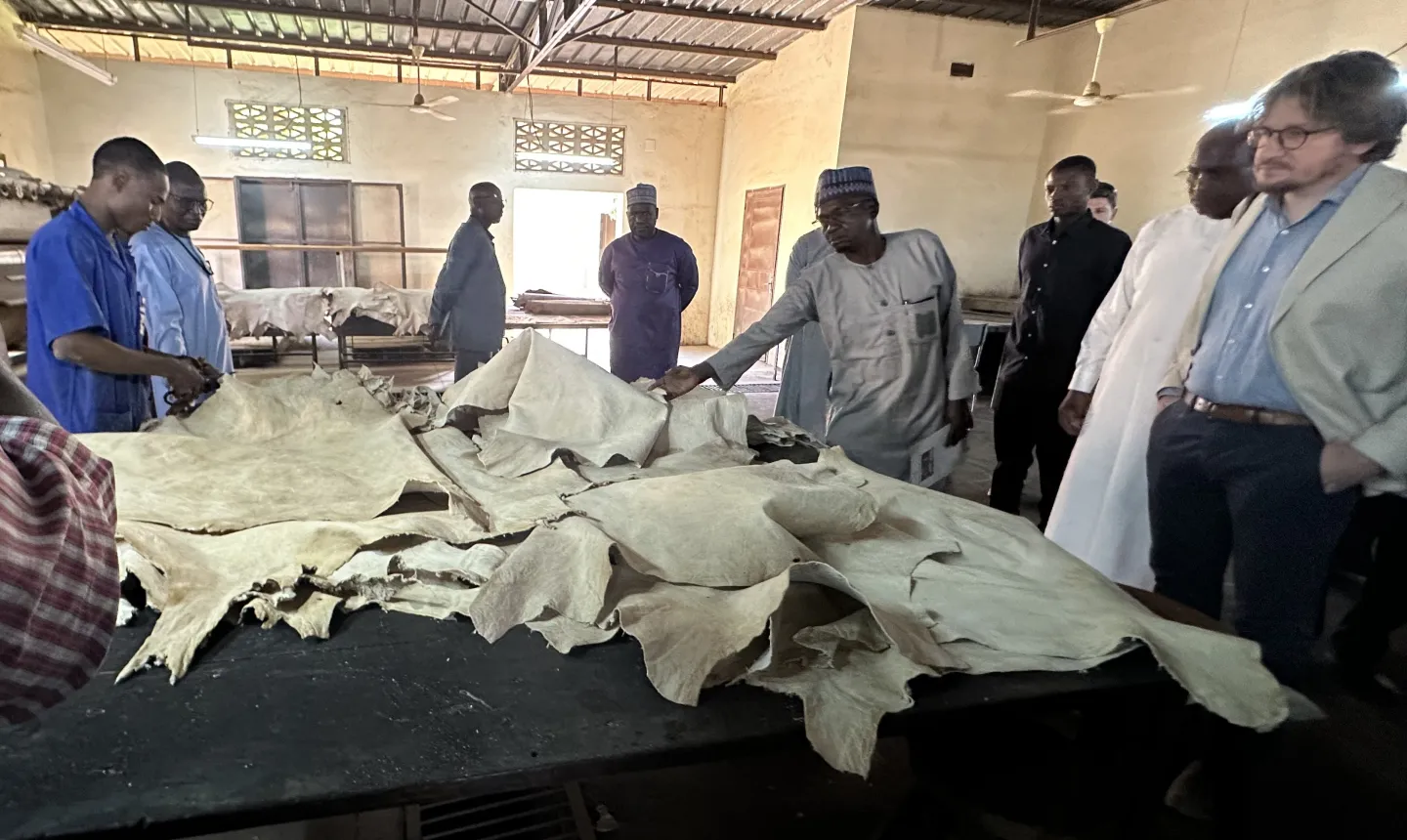 Un professionnel de cuirs et peaux en action à Niamey