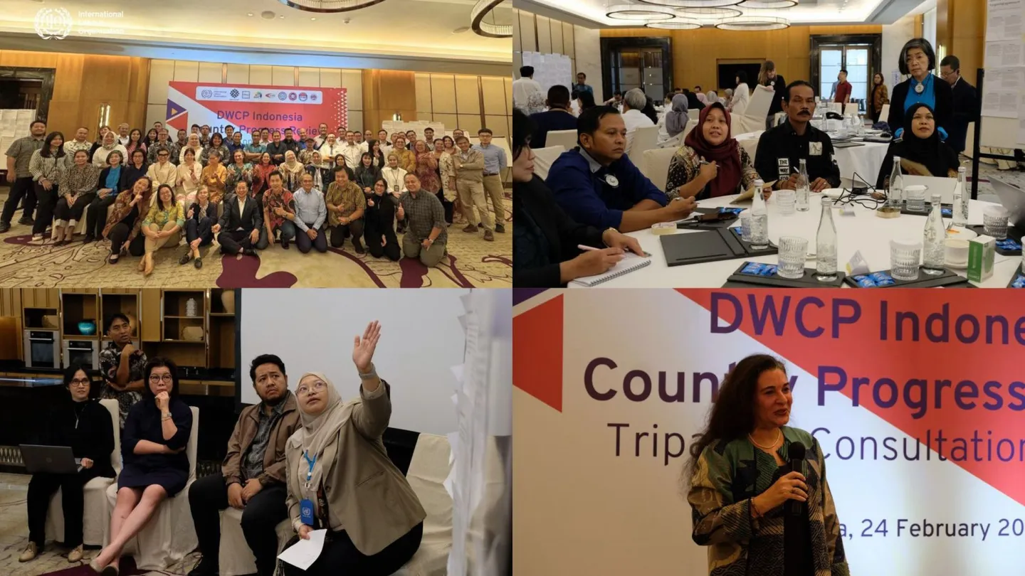 A photo compilation of DWCP review in Indonesia.