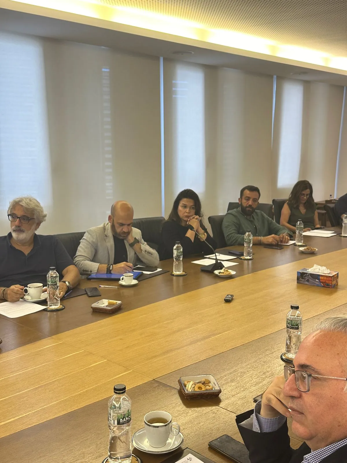 Promoting gender equality and women empowerment in Lebanese industry