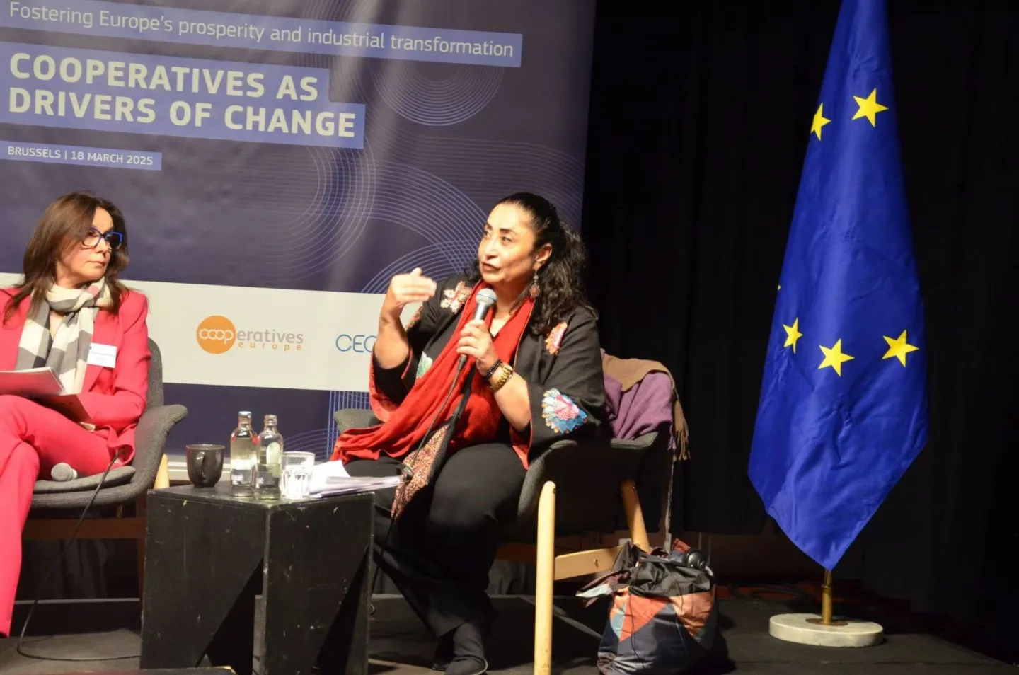 Simel Esim, Head Cooperative, Social and Solidarity Economy Unit, ILO