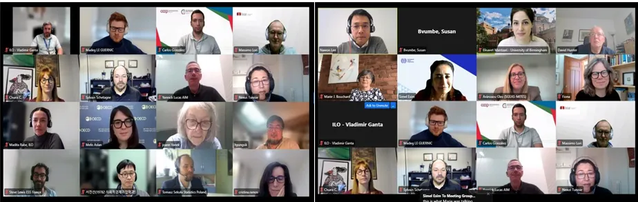 Technical Working Groups on Cooperative and Social Solidarity Economy (SSE) Statistics 