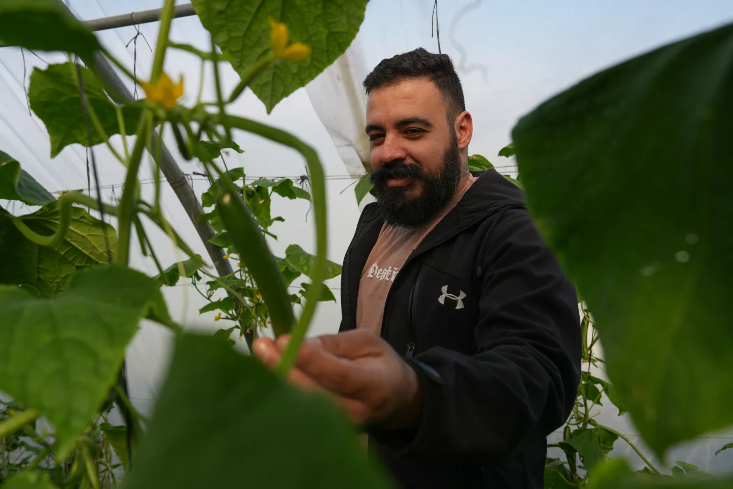 man inside a green house looking at a plant