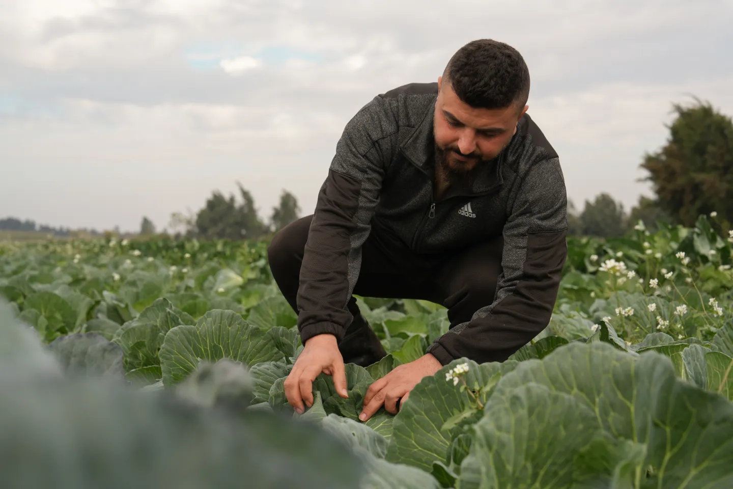 a man working in his farm