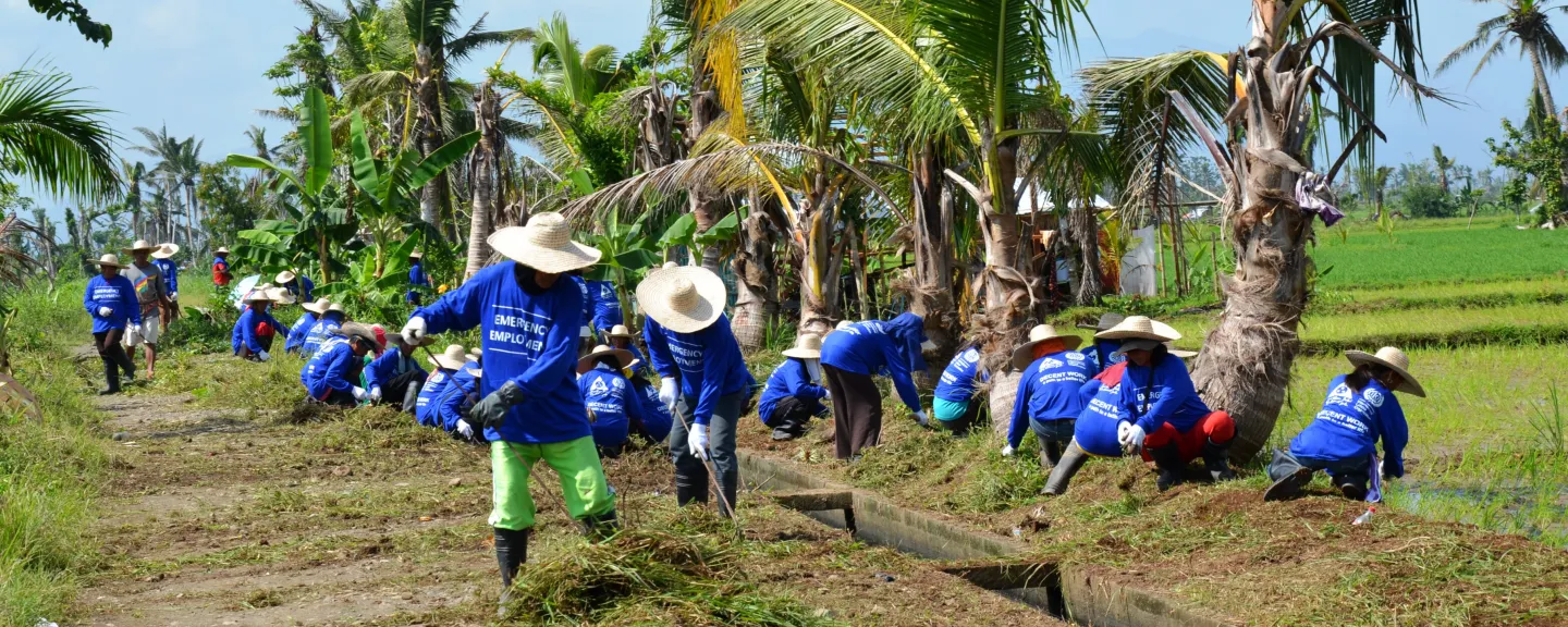 Workers wearing protective gear clearing brush