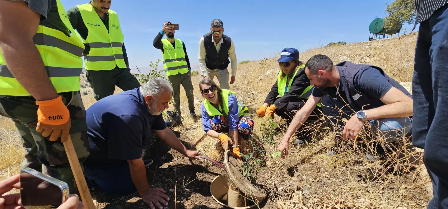 KfW and ILO officials during the field visit of EIIP’s afforestation initiative in Al Koura, Irbid. May 2025
