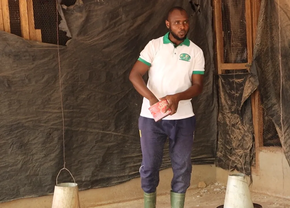 Soro Lacina, nourrissant ses volailles avec un mélange de céréales, incarne la rigueur et la passion d’un entrepreneur agricole formé par ProAgro Youth.
