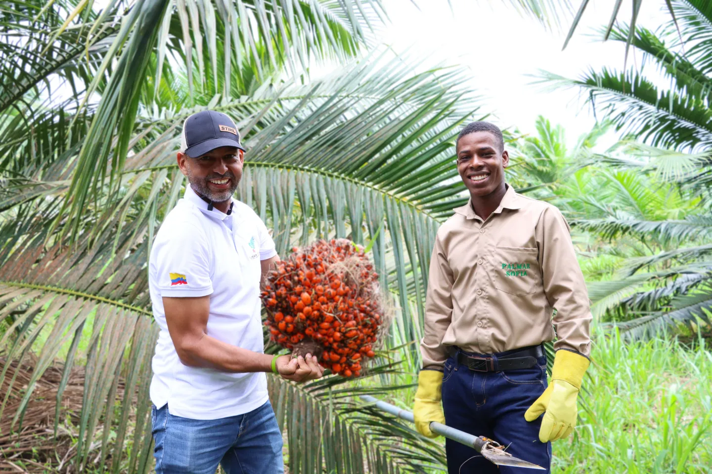 Dos hombres posando, uno de ellos sosteniendo un racimo de palma de aceite, ubicados en una plantación híbrida. 